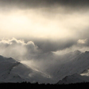 A Standard Post A Standard Post